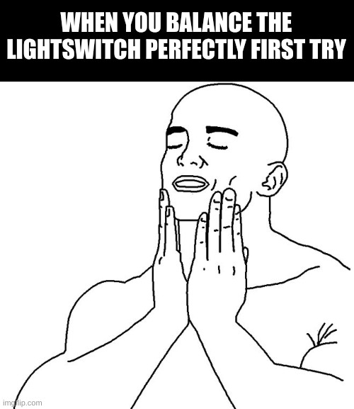 Satisfaction | WHEN YOU BALANCE THE LIGHTSWITCH PERFECTLY FIRST TRY | image tagged in satisfaction | made w/ Imgflip meme maker
