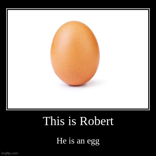 Say hi to Robert | image tagged in funny,demotivationals | made w/ Imgflip demotivational maker