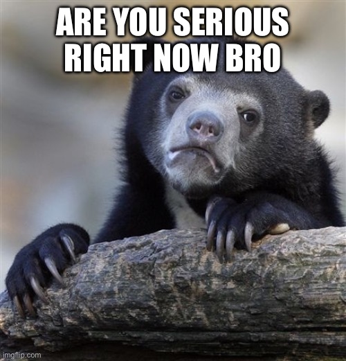 Confession Bear Meme | ARE YOU SERIOUS RIGHT NOW BRO | image tagged in memes,confession bear | made w/ Imgflip meme maker