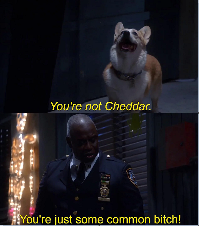 You're not Cheddar. Blank Meme Template