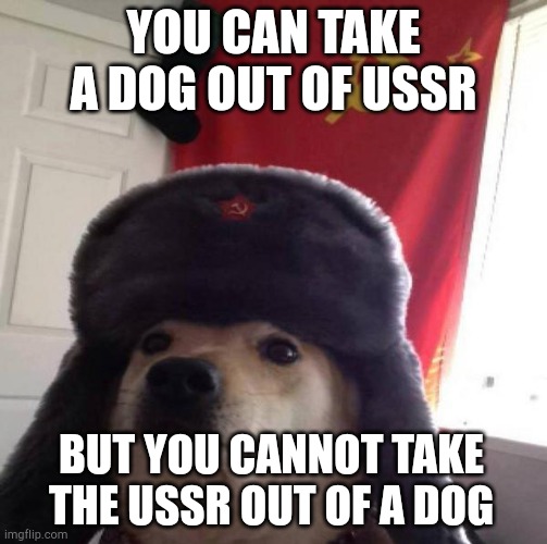 Russian Doge | YOU CAN TAKE A DOG OUT OF USSR; BUT YOU CANNOT TAKE THE USSR OUT OF A DOG | image tagged in russian doge | made w/ Imgflip meme maker