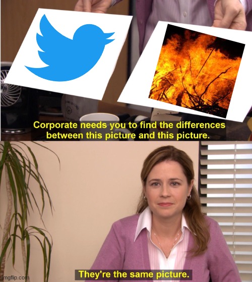 They're The Same Picture | image tagged in memes,they're the same picture | made w/ Imgflip meme maker