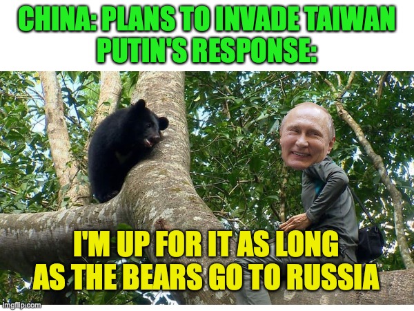 Putin wants the Formosan Black Bear as a part of his collection of bears amid fears Taiwan could get invaded by China | CHINA: PLANS TO INVADE TAIWAN
PUTIN'S RESPONSE:; I'M UP FOR IT AS LONG AS THE BEARS GO TO RUSSIA | image tagged in putin,love for bears,russophobia,sinophobia,taiwan,china | made w/ Imgflip meme maker