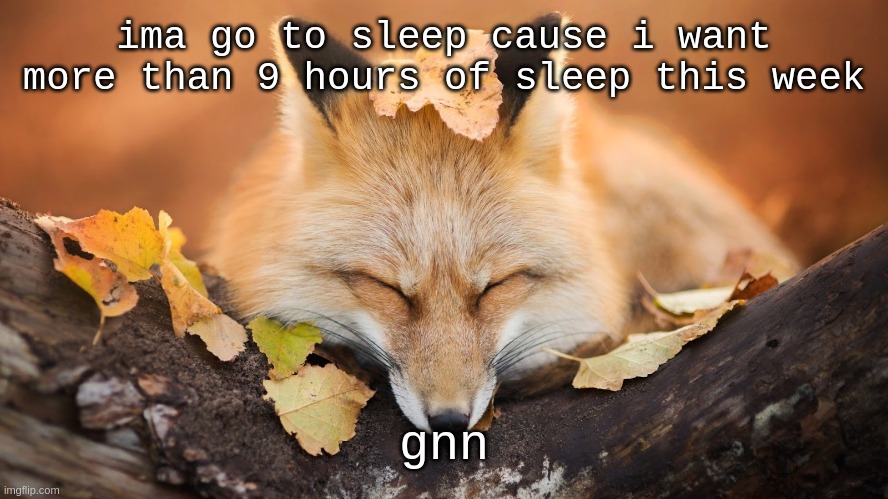 Goodnight | ima go to sleep cause i want more than 9 hours of sleep this week; gnn | image tagged in goodnight | made w/ Imgflip meme maker