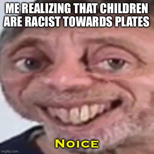 Noice | ME REALIZING THAT CHILDREN ARE RACIST TOWARDS PLATES Noice | image tagged in noice | made w/ Imgflip meme maker