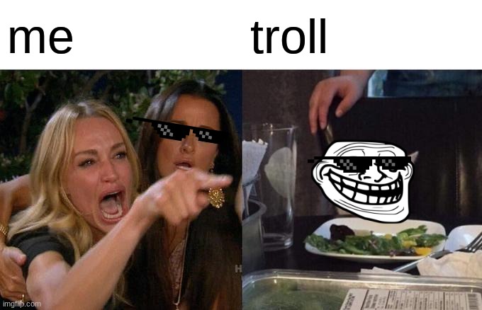 me yelling at troll | me; troll | image tagged in memes,woman yelling at cat | made w/ Imgflip meme maker