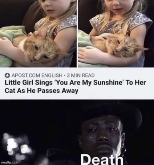 This is straight up depressing | image tagged in meme,sad,cats | made w/ Imgflip meme maker
