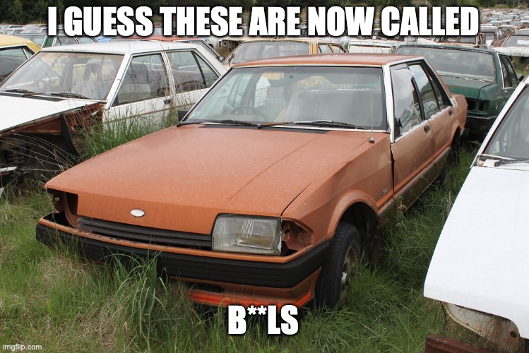 Ford | I GUESS THESE ARE NOW CALLED B**LS | image tagged in ford | made w/ Imgflip meme maker