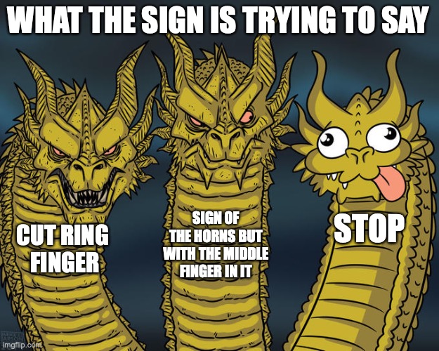 Three-headed Dragon | WHAT THE SIGN IS TRYING TO SAY CUT RING 
FINGER SIGN OF THE HORNS BUT WITH THE MIDDLE FINGER IN IT STOP | image tagged in three-headed dragon | made w/ Imgflip meme maker