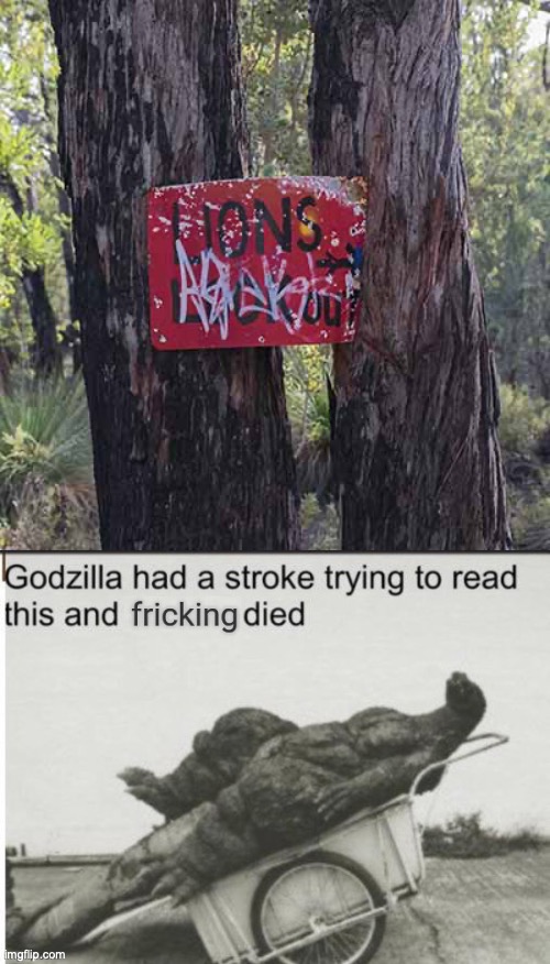 Ahh yes, it is rather unexpecting to see a sign just saying lions with a bunch of graffiti covering the next word | image tagged in unexpected,things,seen,on,sign,godzilla had a stroke trying to read this and fricking died | made w/ Imgflip meme maker