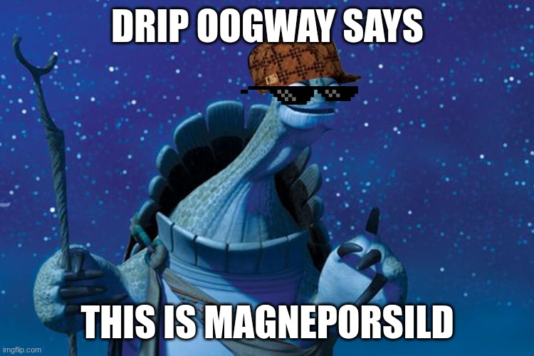 Master Oogway | DRIP OOGWAY SAYS; THIS IS MAGNEPORSILD | image tagged in master oogway | made w/ Imgflip meme maker