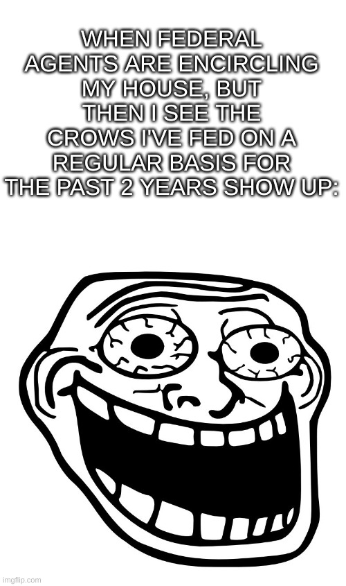 "The Crow Incident", November 5 2026 | WHEN FEDERAL AGENTS ARE ENCIRCLING MY HOUSE, BUT THEN I SEE THE CROWS I'VE FED ON A REGULAR BASIS FOR THE PAST 2 YEARS SHOW UP: | image tagged in blank white template,crazy trollface | made w/ Imgflip meme maker