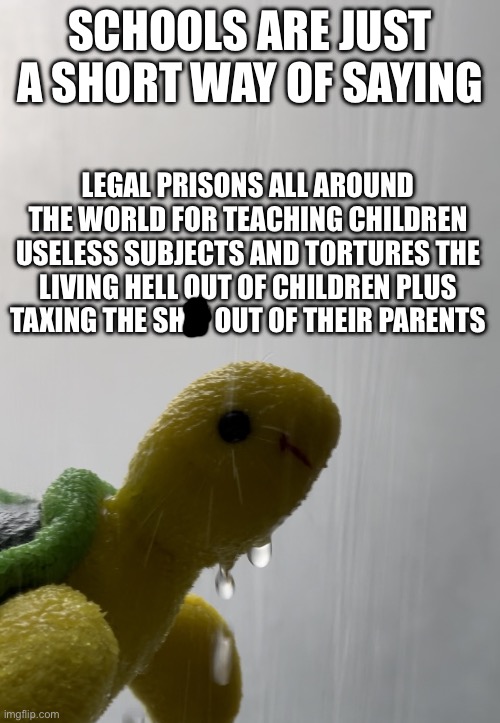 Shower Thoughts Jake | SCHOOLS ARE JUST A SHORT WAY OF SAYING; LEGAL PRISONS ALL AROUND THE WORLD FOR TEACHING CHILDREN USELESS SUBJECTS AND TORTURES THE LIVING HELL OUT OF CHILDREN PLUS TAXING THE SHIT OUT OF THEIR PARENTS | image tagged in shower thoughts jake,shower thoughts,school | made w/ Imgflip meme maker