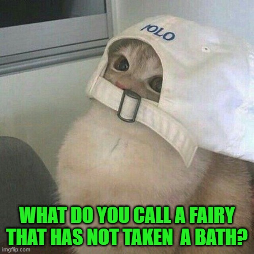 WHAT DO YOU CALL A FAIRY THAT HAS NOT TAKEN  A BATH? | image tagged in riddle | made w/ Imgflip meme maker