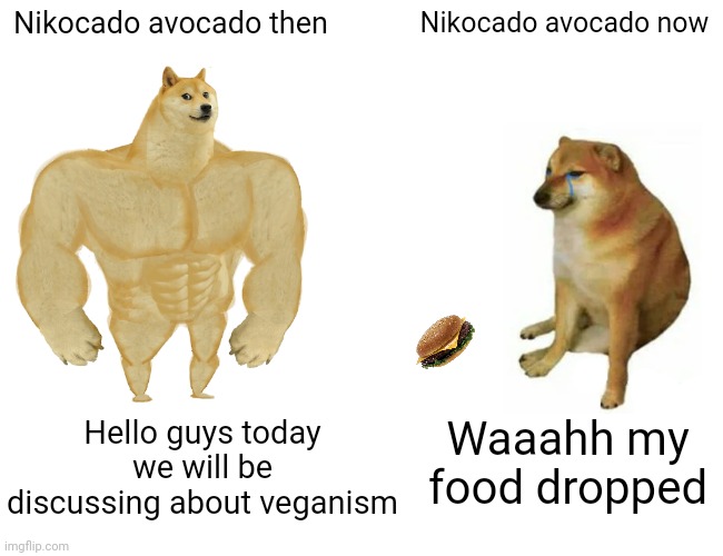 Then vs now (Nikocado avocado edition) | Nikocado avocado then; Nikocado avocado now; Hello guys today we will be discussing about veganism; Waaahh my food dropped | image tagged in memes,buff doge vs cheems | made w/ Imgflip meme maker