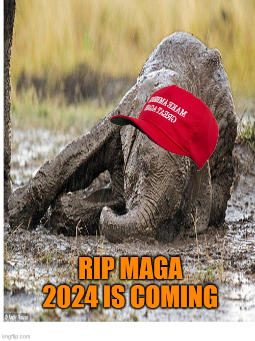 RIP MAGA
2024 IS COMING | made w/ Imgflip meme maker