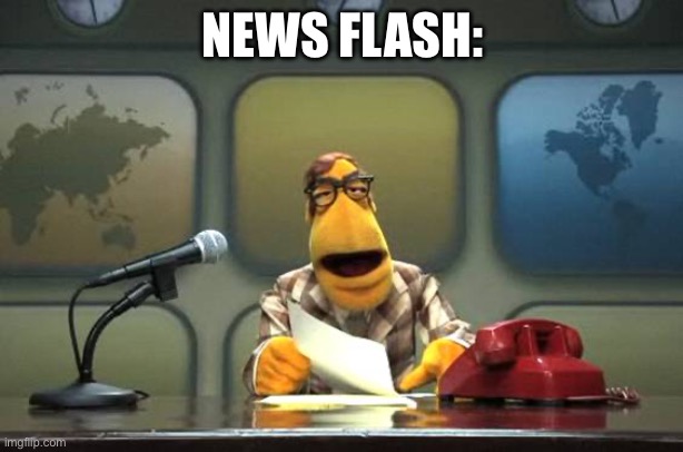 Muppet News Flash | NEWS FLASH: | image tagged in muppet news flash | made w/ Imgflip meme maker