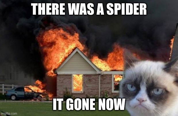 there was a spider | THERE WAS A SPIDER; IT GONE NOW | image tagged in memes,burn kitty,grumpy cat | made w/ Imgflip meme maker