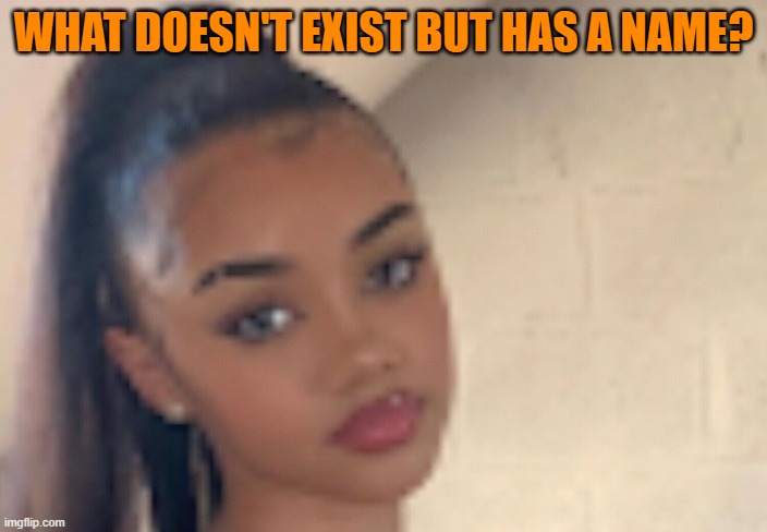 WHAT DOESN'T EXIST BUT HAS A NAME? | image tagged in riddle | made w/ Imgflip meme maker