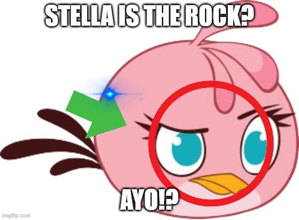 imgflip be like: | STELLA IS THE ROCK? AYO!? | image tagged in funny memes | made w/ Imgflip meme maker