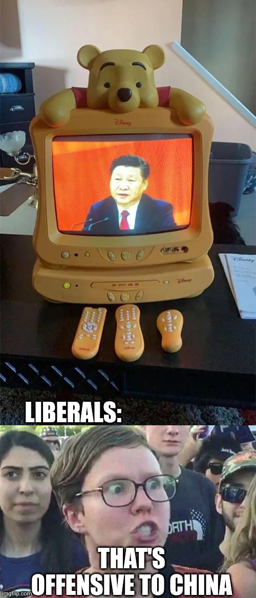 Democrats get so mad when you compare china's president with Winnie the Pooh | LIBERALS:; THAT'S OFFENSIVE TO CHINA | image tagged in triggered liberal,china,winnie the pooh,democrats | made w/ Imgflip meme maker
