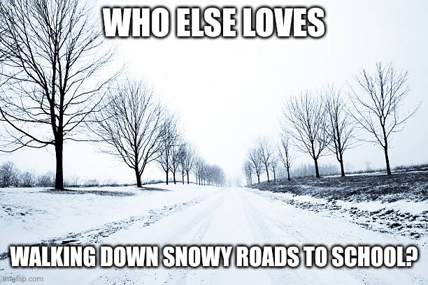 I love walking down the road when it's covered in snow. I hate when rain has to ruin it | WHO ELSE LOVES; WALKING DOWN SNOWY ROADS TO SCHOOL? | image tagged in road,school,middle school | made w/ Imgflip meme maker