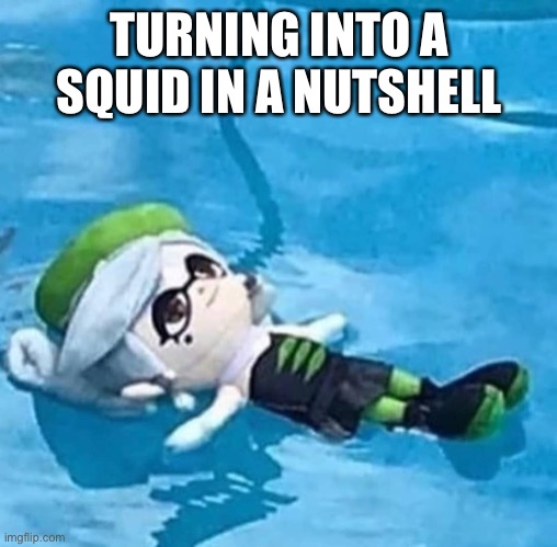 Marie swimming | TURNING INTO A SQUID IN A NUTSHELL | image tagged in marie swimming | made w/ Imgflip meme maker