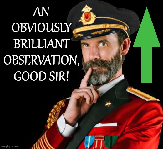 captain obvious | AN OBVIOUSLY BRILLIANT OBSERVATION, GOOD SIR! | image tagged in captain obvious | made w/ Imgflip meme maker
