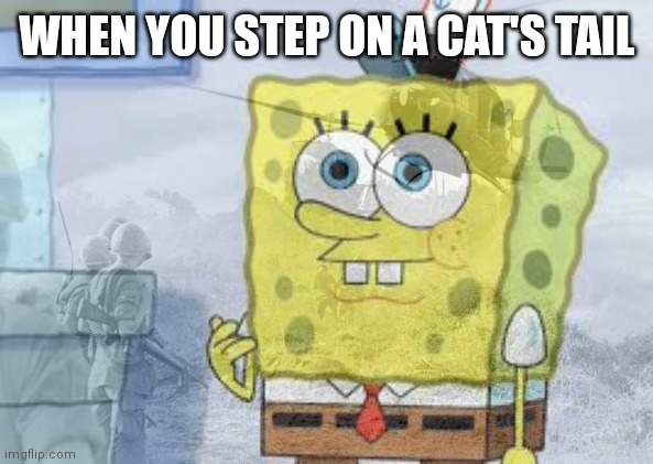Oh no it happens again | WHEN YOU STEP ON A CAT'S TAIL | image tagged in memes,squidward window,ww2,cats | made w/ Imgflip meme maker