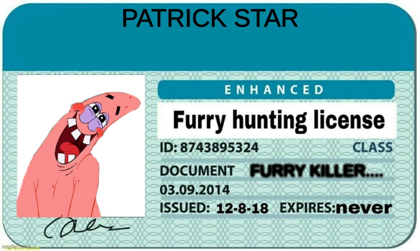 I'd agree... do you? | PATRICK STAR; FURRY KILLER.... | image tagged in furry hunting license | made w/ Imgflip meme maker
