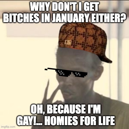 No Bitches in January | WHY DON'T I GET BITCHES IN JANUARY EITHER? OH, BECAUSE I'M GAY!... HOMIES FOR LIFE | image tagged in memes,look at me | made w/ Imgflip meme maker