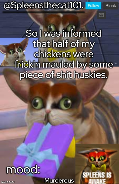 I am very pissed | So I was informed that half of my chickens were frickin mauled by some piece of shit huskies. Murderous | image tagged in spleensthecat101 | made w/ Imgflip meme maker