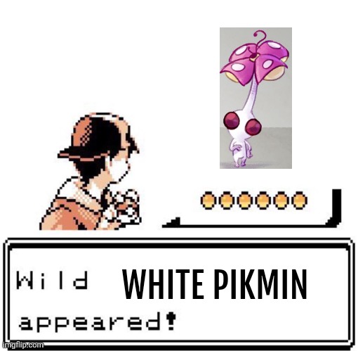 White Pikmin? | WHITE PIKMIN | image tagged in blank wild pokemon appears,pikmin 2,pikmin,pokemon,nintendo,pikmin remodel | made w/ Imgflip meme maker