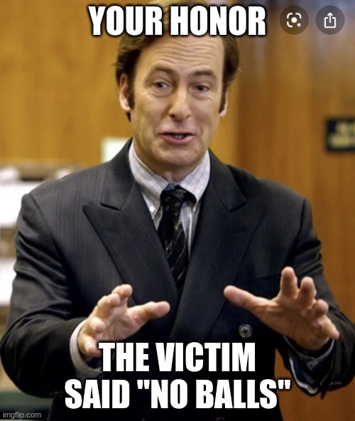 Your Honor, | YOUR HONOR; THE VICTIM SAID "NO BALLS" | image tagged in your honor | made w/ Imgflip meme maker