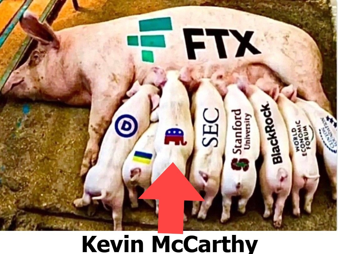 Everything you ever wanted to know about Kevin McCarthy but were afraid to ask. | image tagged in ftx piglets,kevin mccarthy,money laundering,government corruption,ponzi scheme,criminal minds | made w/ Imgflip meme maker