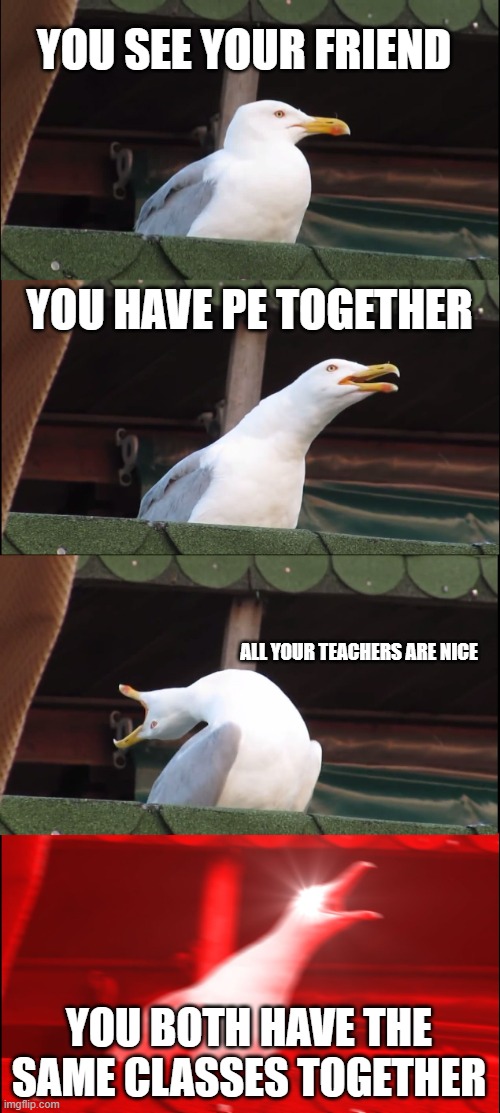 Inhaling Seagull Meme | YOU SEE YOUR FRIEND; YOU HAVE PE TOGETHER; ALL YOUR TEACHERS ARE NICE; YOU BOTH HAVE THE SAME CLASSES TOGETHER | image tagged in memes,inhaling seagull | made w/ Imgflip meme maker