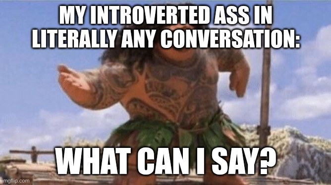 Literally me | MY INTROVERTED ASS IN LITERALLY ANY CONVERSATION:; WHAT CAN I SAY? | image tagged in what can i say except x,what can i say,introvert | made w/ Imgflip meme maker