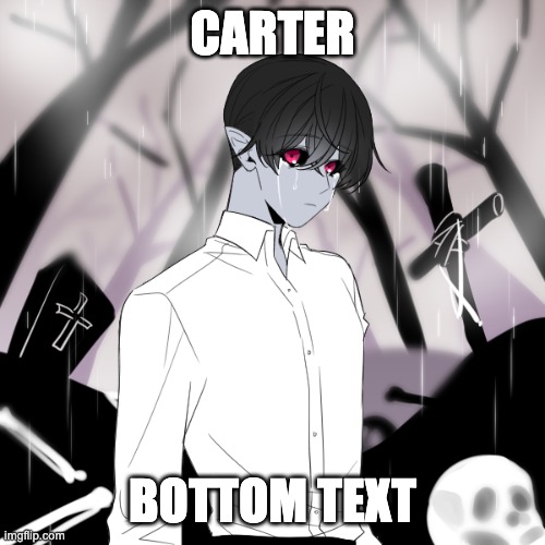 CARTER; BOTTOM TEXT | made w/ Imgflip meme maker