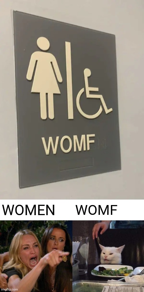 Womf | WOMF; WOMEN | image tagged in memes,woman yelling at cat,women,restroom,you had one job,womf | made w/ Imgflip meme maker