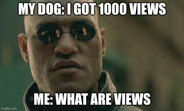 Matrix Morpheus | MY DOG: I GOT 1000 VIEWS; ME: WHAT ARE VIEWS | image tagged in memes,matrix morpheus | made w/ Imgflip meme maker
