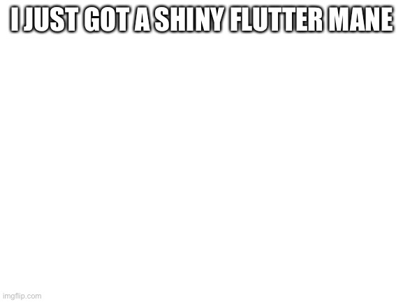 Blank White Template | I JUST GOT A SHINY FLUTTER MANE | image tagged in blank white template | made w/ Imgflip meme maker