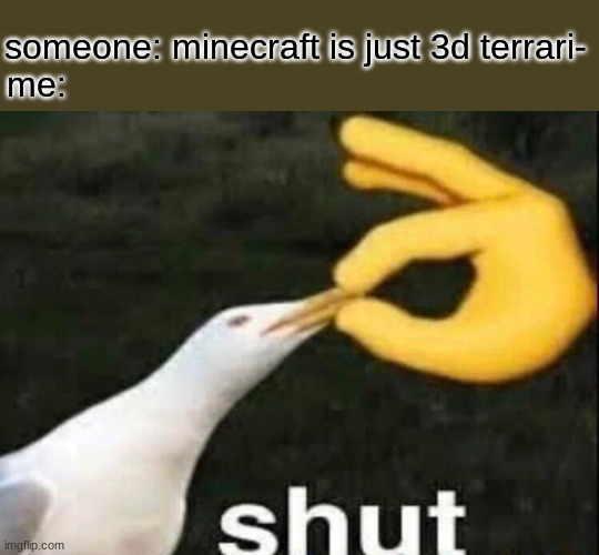 SHUT | someone: minecraft is just 3d terrari-

me: | image tagged in shut,minecraft,terraria,we are not the same | made w/ Imgflip meme maker