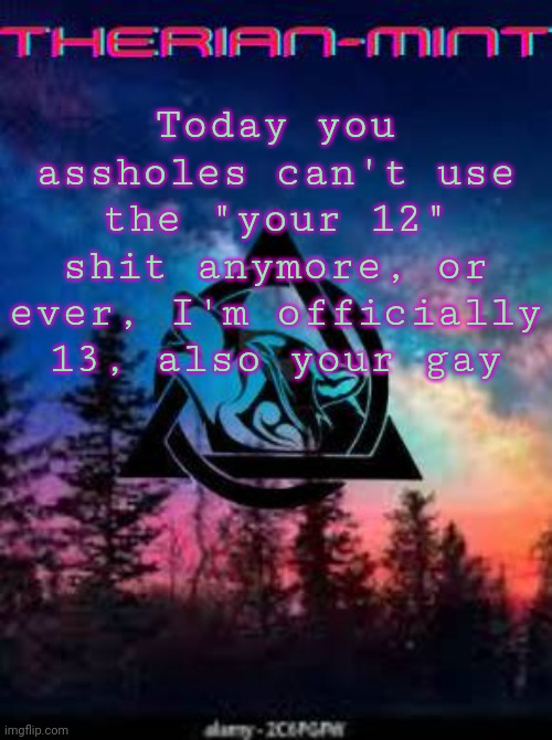 Therian | Today you assholes can't use the "your 12" shit anymore, or ever, I'm officially 13, also your gay | image tagged in therian | made w/ Imgflip meme maker