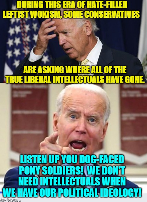 Indeed . . . and no malarky. | DURING THIS ERA OF HATE-FILLED LEFTIST WOKISM, SOME CONSERVATIVES; ARE ASKING WHERE ALL OF THE TRUE LIBERAL INTELLECTUALS HAVE GONE. LISTEN UP YOU DOG-FACED PONY SOLDIERS!  WE DON'T NEED INTELLECTUALS WHEN WE HAVE OUR POLITICAL IDEOLOGY! | image tagged in joe biden worries | made w/ Imgflip meme maker