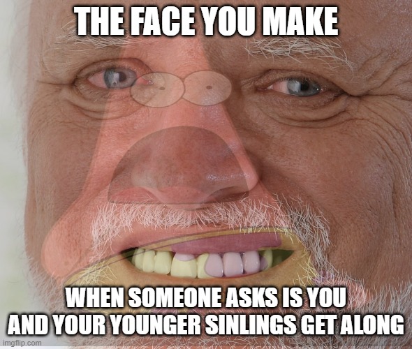 THE FACE YOU MAKE; WHEN SOMEONE ASKS IS YOU AND YOUR YOUNGER SINLINGS GET ALONG | image tagged in sibling rivalry | made w/ Imgflip meme maker