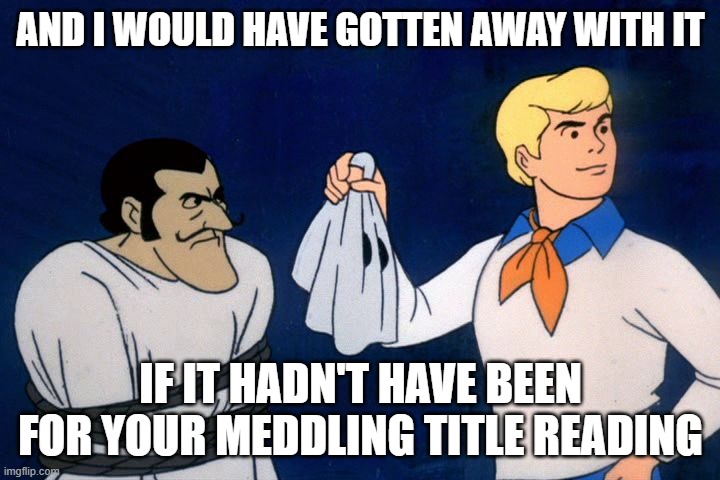 scooby doo meddling kids | AND I WOULD HAVE GOTTEN AWAY WITH IT IF IT HADN'T HAVE BEEN FOR YOUR MEDDLING TITLE READING | image tagged in scooby doo meddling kids | made w/ Imgflip meme maker