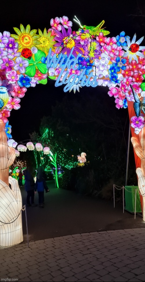 The wildlights at dublin zoo | made w/ Imgflip meme maker
