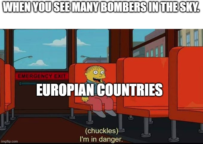 im in danger | WHEN YOU SEE MANY BOMBERS IN THE SKY. EUROPIAN COUNTRIES | image tagged in im in danger | made w/ Imgflip meme maker