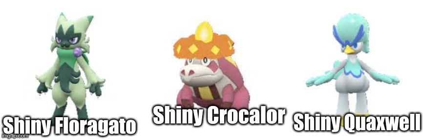 The shiny Paldea starter middle stages. | Shiny Floragato; Shiny Crocalor; Shiny Quaxwell | image tagged in shiny,paldea,paldea starters,floragato,crocalor,quaxwell | made w/ Imgflip meme maker