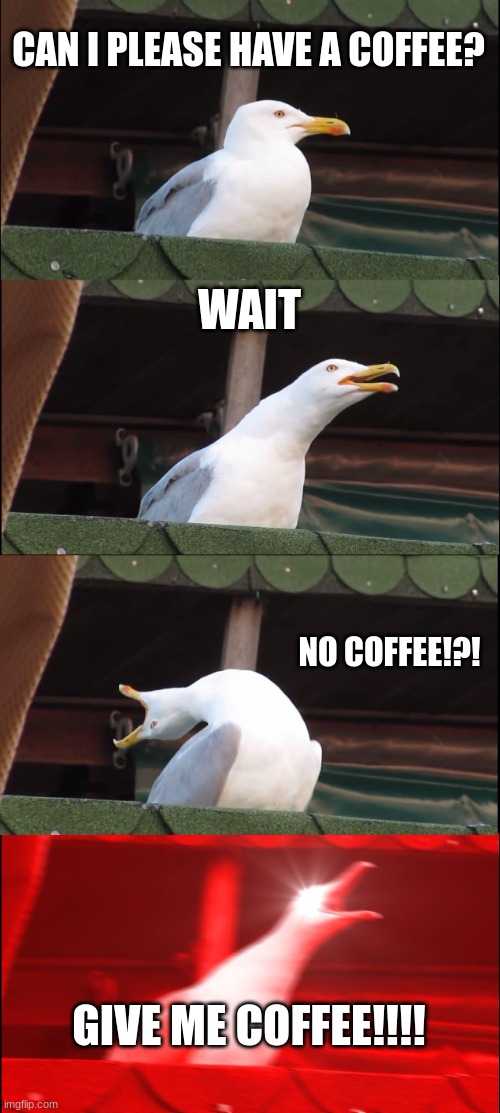 COFFEE | CAN I PLEASE HAVE A COFFEE? WAIT; NO COFFEE!?! GIVE ME COFFEE!!!! | image tagged in memes,inhaling seagull | made w/ Imgflip meme maker